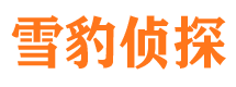 阿克塞市调查公司